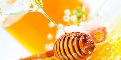 Μελισσοκομία